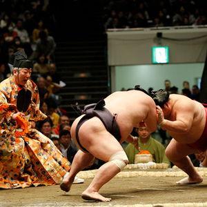Honeymoon experience: Sumo Wrestling Tournament