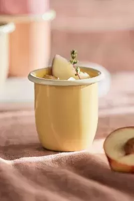 Enamel Tumbler
