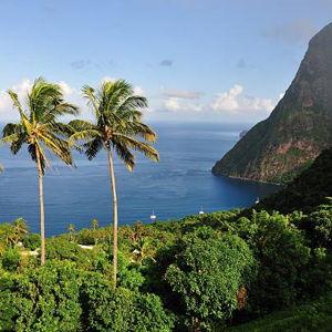 Honeymoon in Paradise