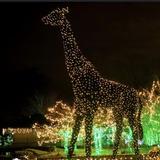Saint Louis Zoo