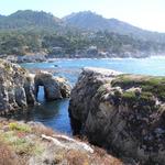 Point Lobos State Natural Reserve