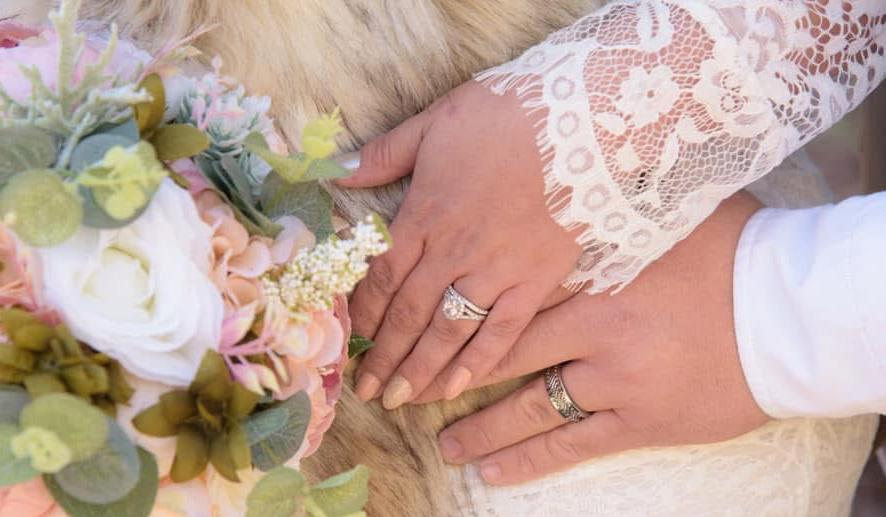 The Wedding Website of Alana Maliden and Wade Neal