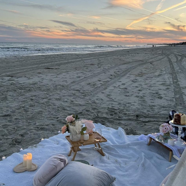 Honeymoon Picnic at the Beach