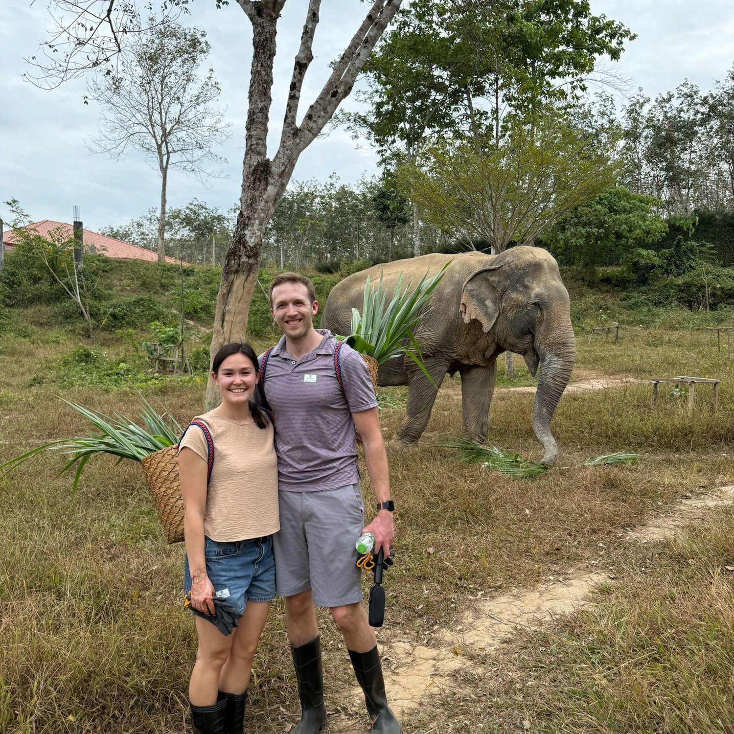 Us at the Phuket Elephant Sanctuary. We spent the whole day learning about, caring for, feeding, and just watching these amazing animals. Here they put us to work gathering plants for them to eat!