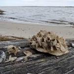 York River State Park