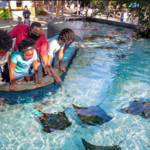 Aquarium of the Pacific