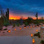 Entrance to Desert Botanical Garden
