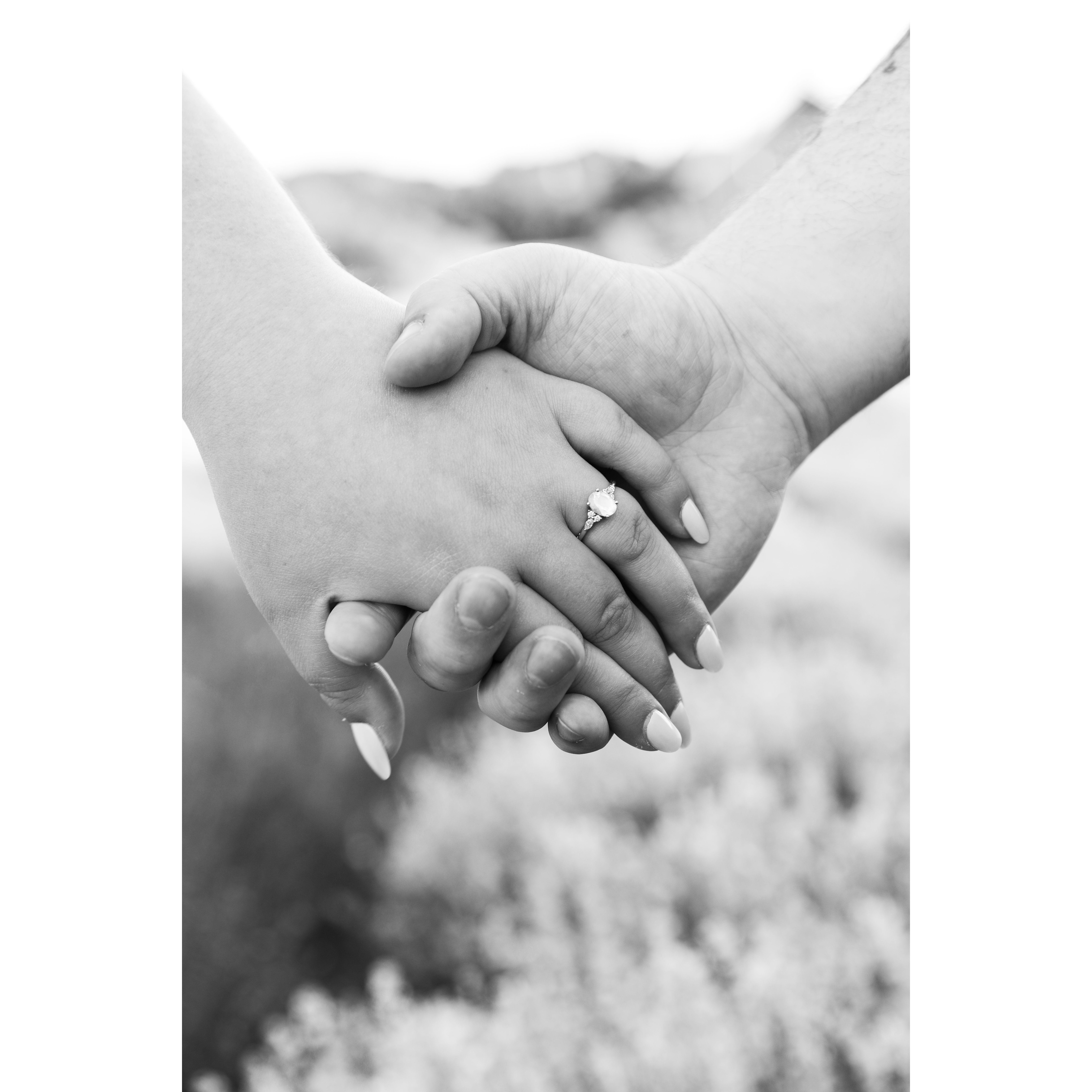 Engagement photoshoot at Sunset Ridge Lavender Farms. Photographer was Bloom Photography, LLC