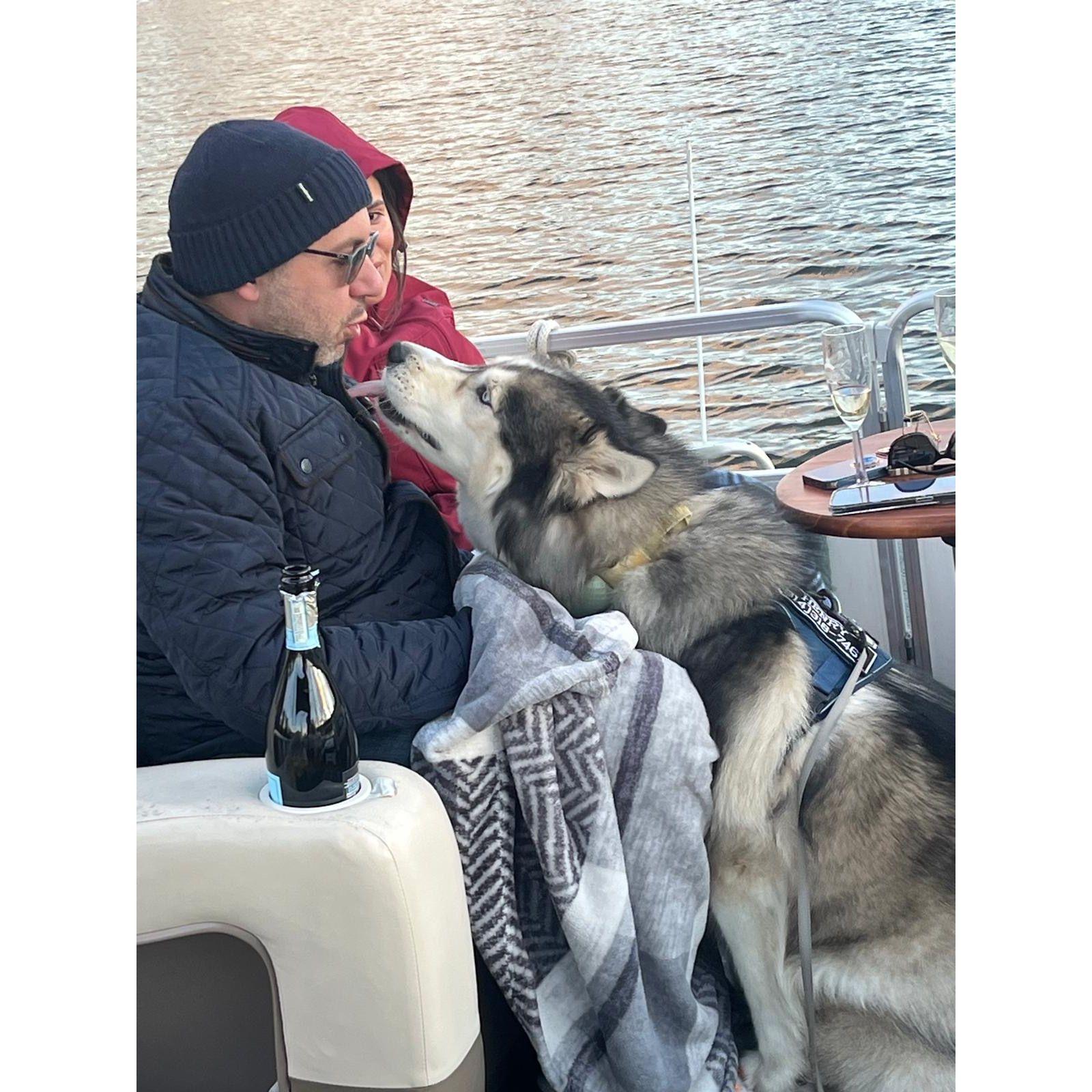 Puppy Love