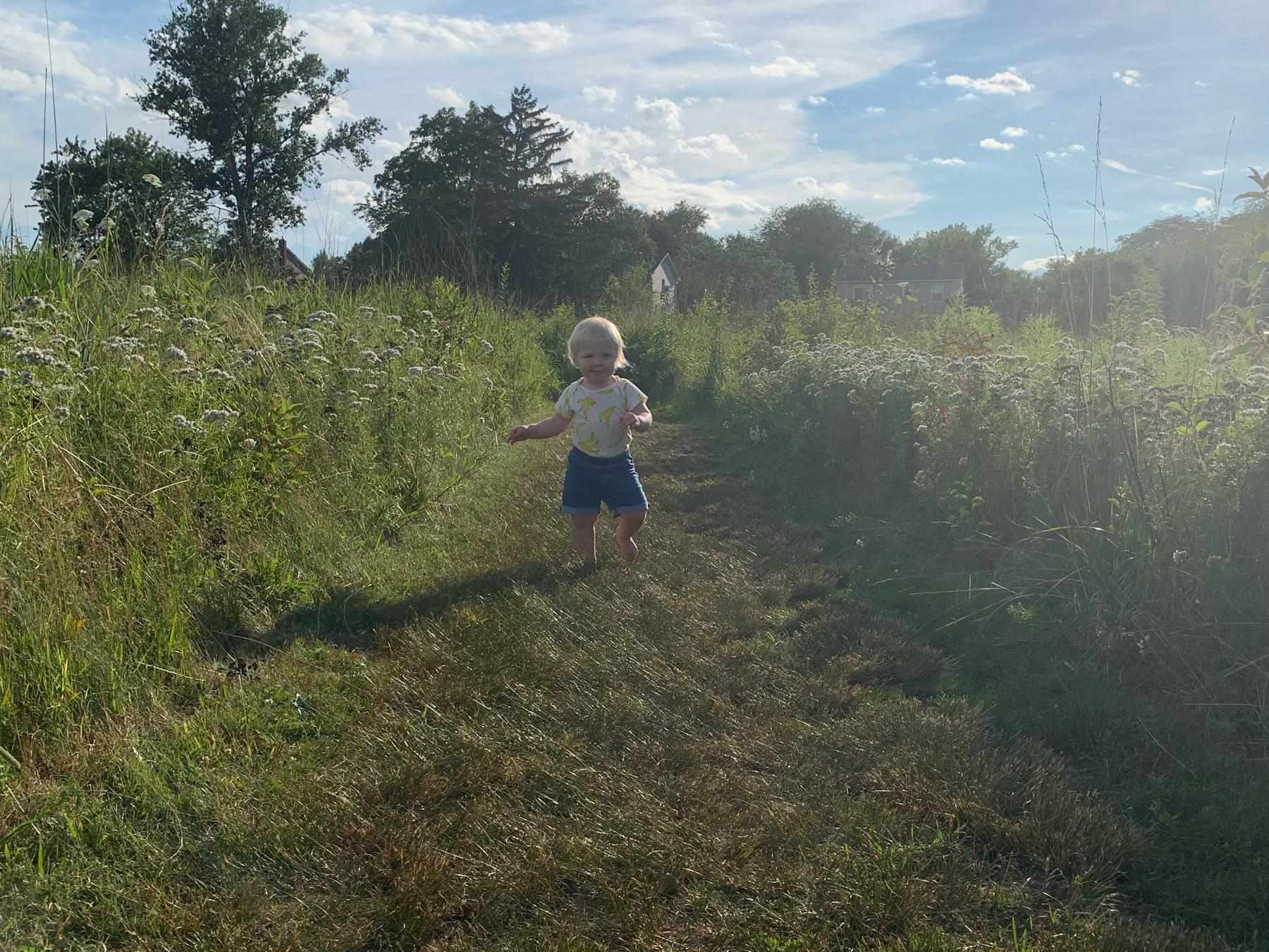 43a18db4-a59f-4b68-a864-f5b113431036