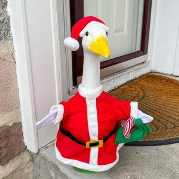 Porch goose