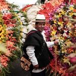 Feria de las Flores