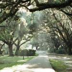Charles Towne Landing State Historic Site