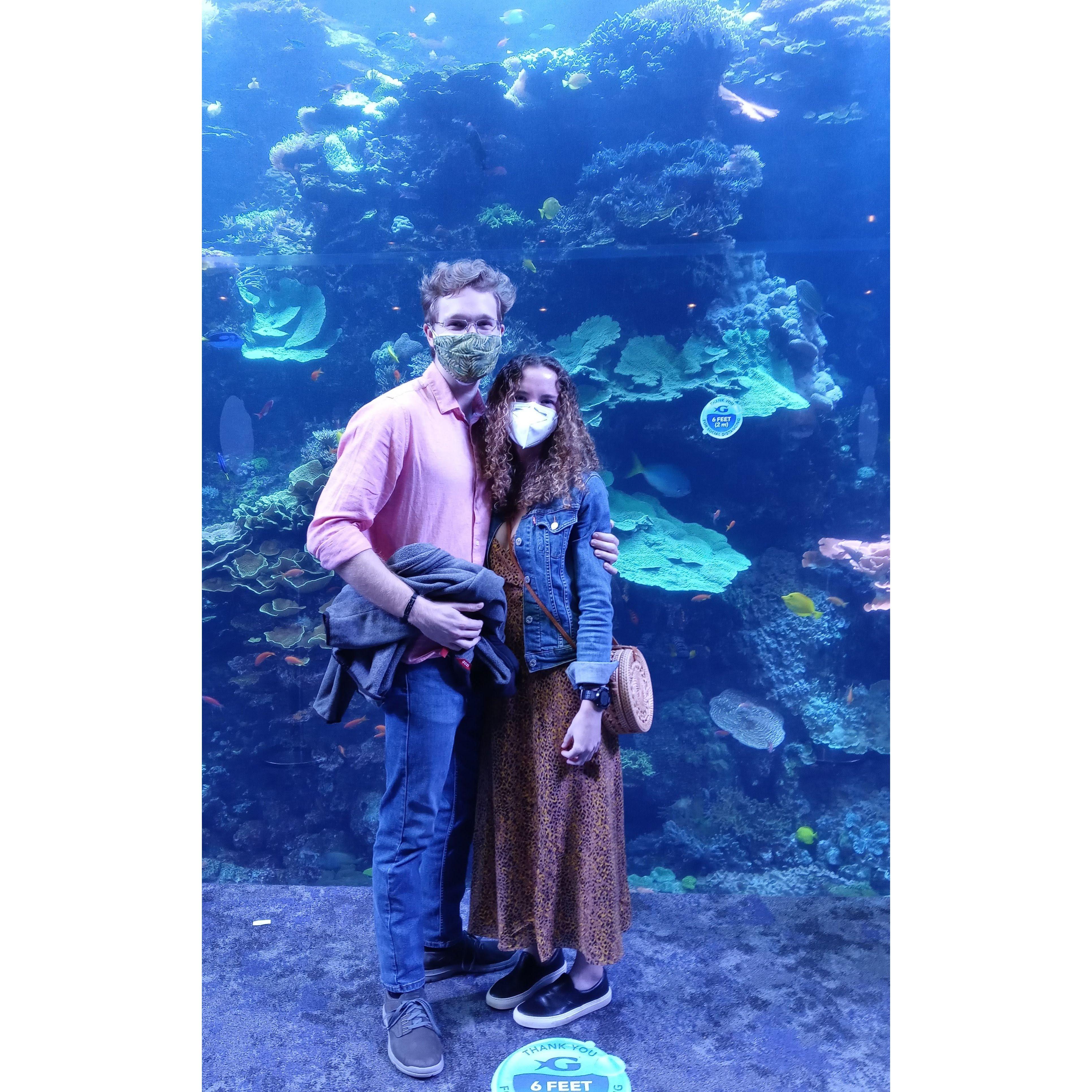 An anniversary at the aquarium