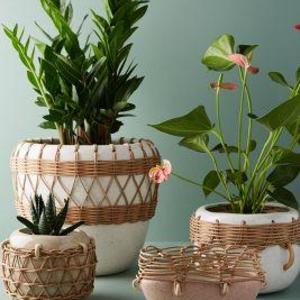 Sun Porch Pot