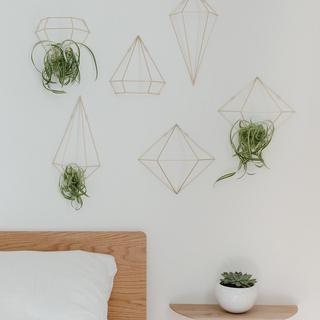 Prisma Wall Decor Set