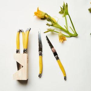 Laguiole Steak Knives: Mustard
