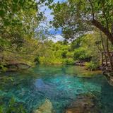Indigenous Eyes Ecological Reserve