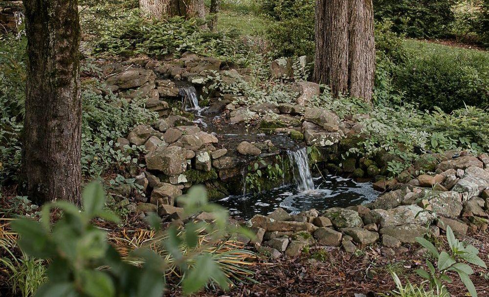 The Wedding Website of Madeleine Edenton and Haley Gruensfelder