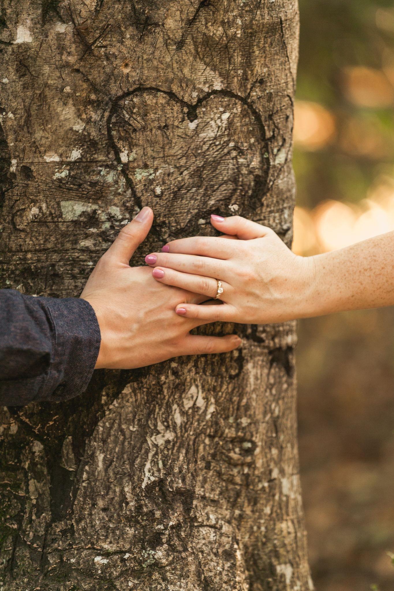 The Wedding Website of Hannah Ballard and Jonathan Diaz