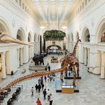 Field Museum