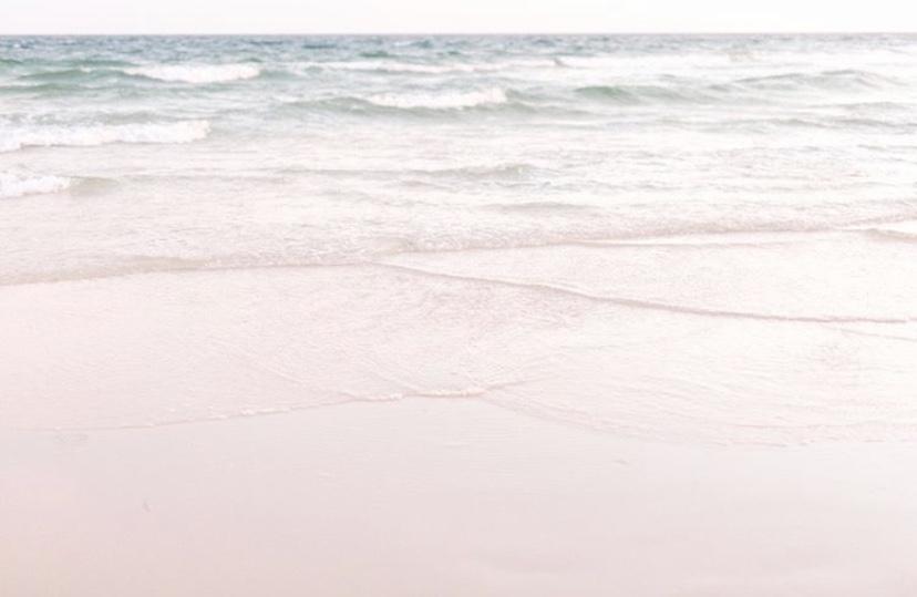 The Wedding Website of Sydney DePalma and James Centanni