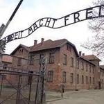 Auschwitz - Birkenau Nazi Concentration Camps