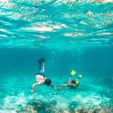 Scuba DIving & Snorkeling