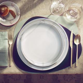 TAC Glitch Dinner Plate