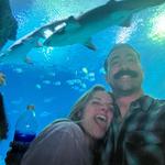 Shark Reef Aquarium at Mandalay Bay