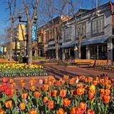 Pearl Street Mall