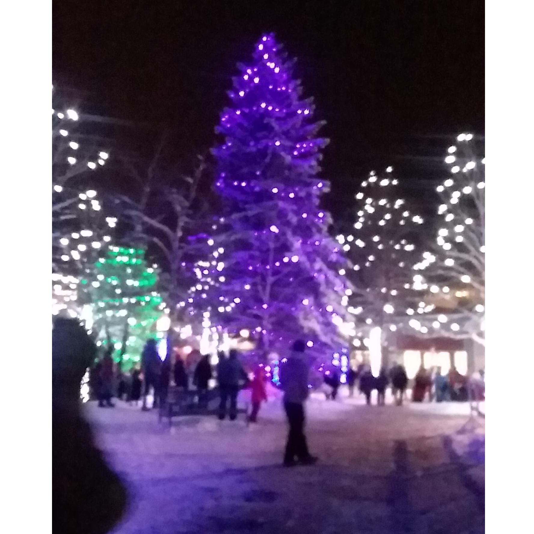 The area where Doyle proposed.