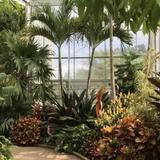 Daniel Stowe Botanical Garden