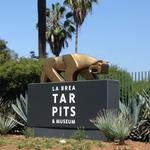 The La Brea Tar Pits and Museum