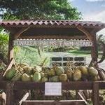 West Shore: Punakea Palms