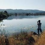 Arcata Marsh