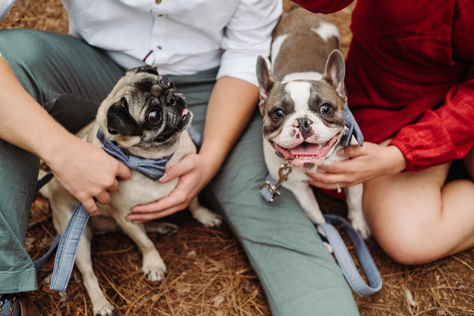 The Wedding Website of Hannah Schroeder and Derek Mast