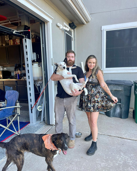 Holly O'Hara and Ryan Mitchell's Wedding Website