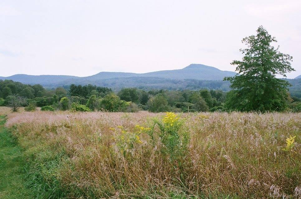 The Wedding Website of Katherine Coombs and Miles Mogilnicki