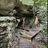 Primeval Forest National Park