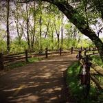 Luce Line Trail