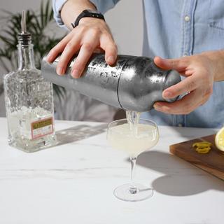 Harrison Parisian Cocktail Shaker