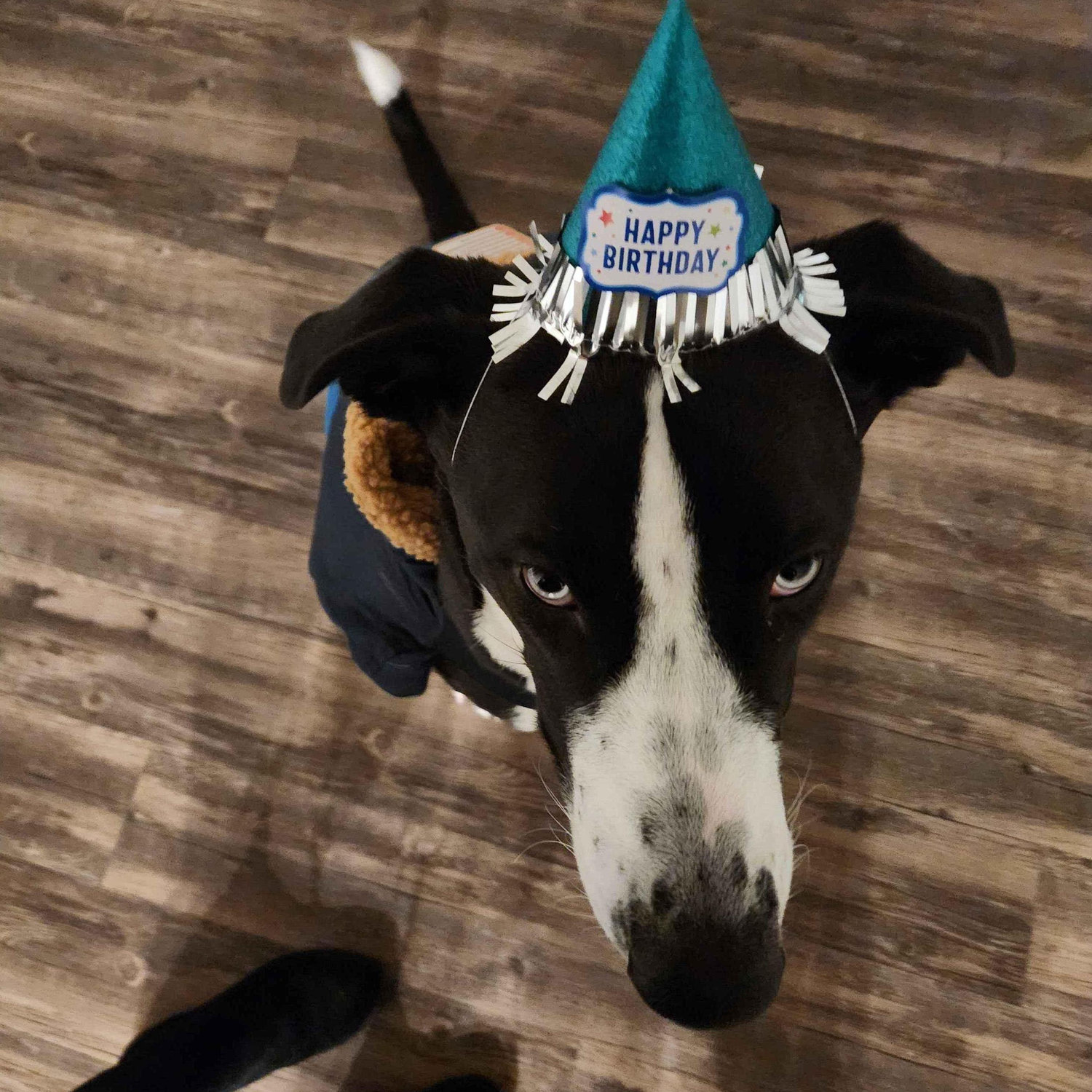 I don't think he liked his hat