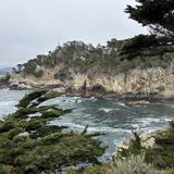 Point Lobos State Natural Reserve