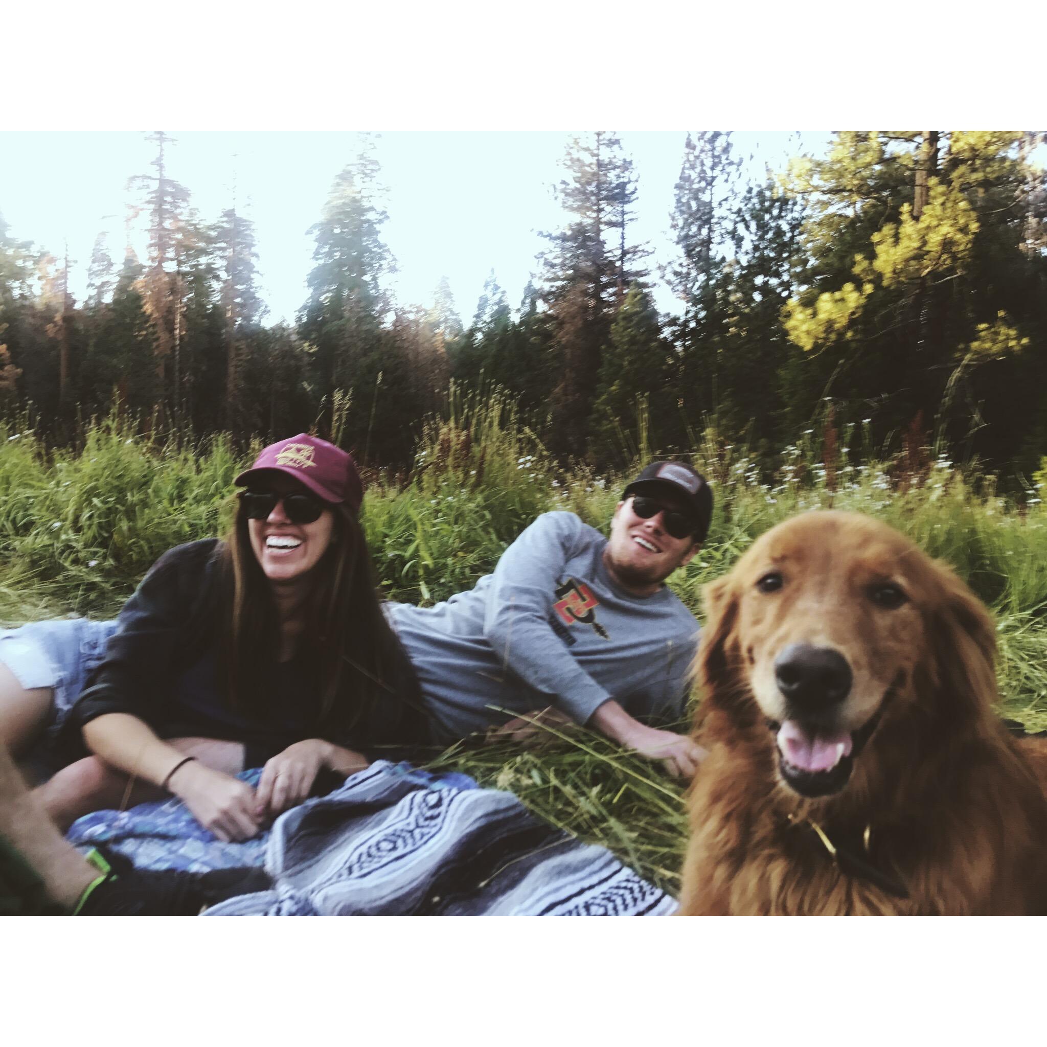 Camping in the Sequoias. Just look at us! #ad