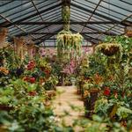 Vallarta Botanical Gardens