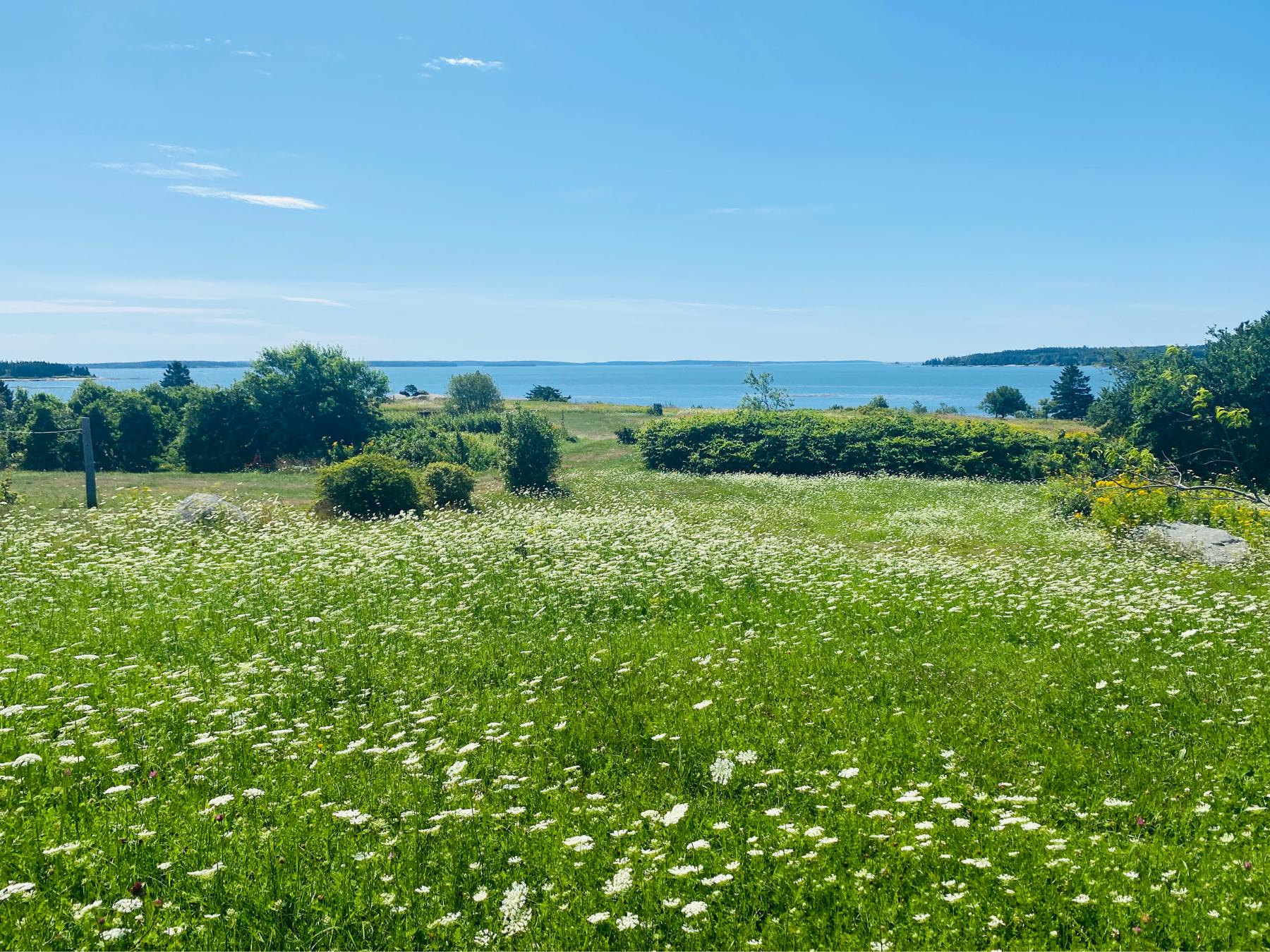 The Wedding Website of Annaliese Lafayette and Sean O’Reilly
