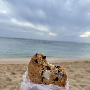Beach Picnic