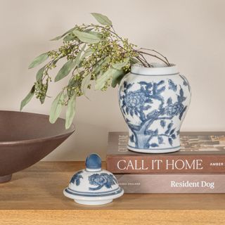Lilia Decorative Ceramic Ginger Jar with Domed Lid