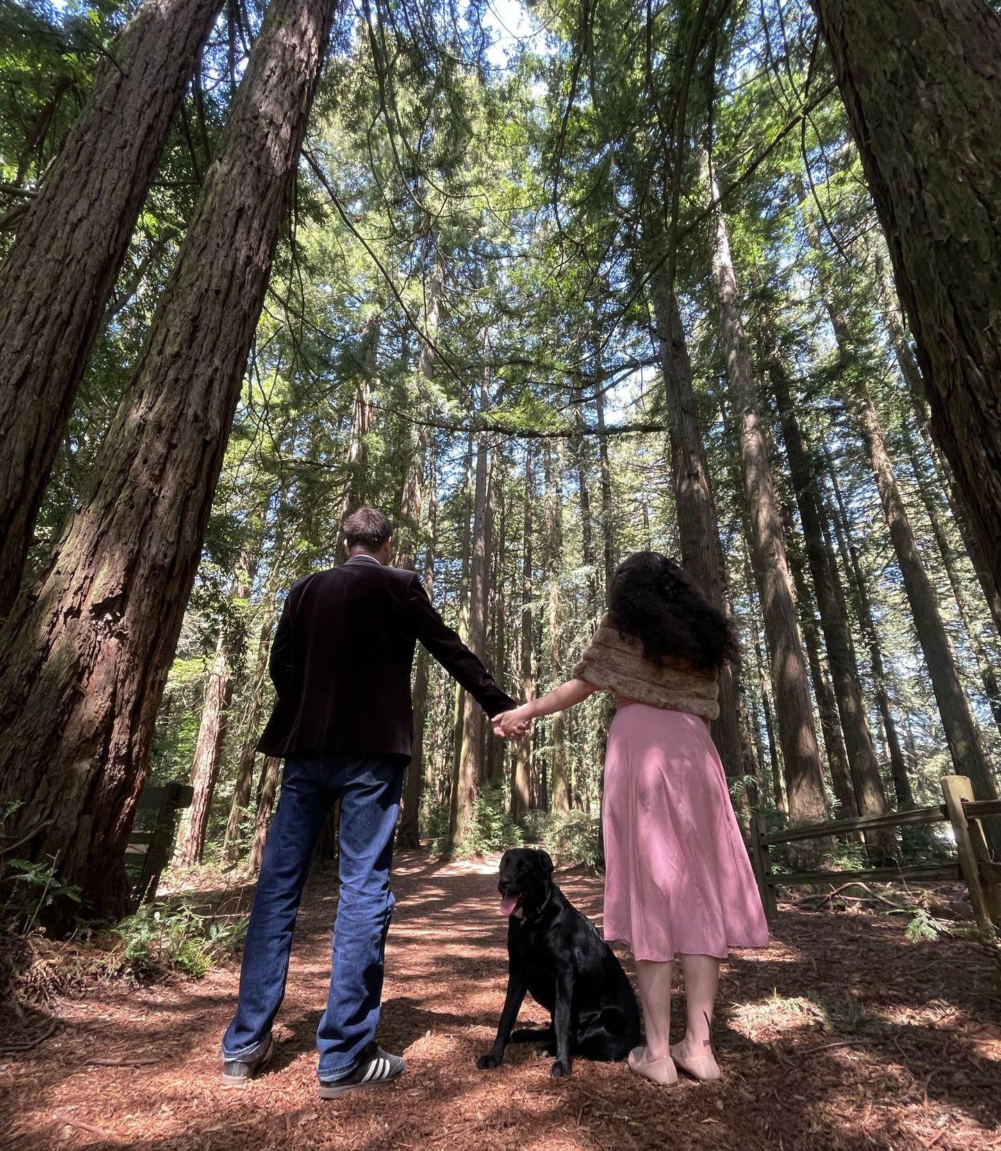 The Wedding Website of Yarden (Jordan) Davis and Peter Tatrai